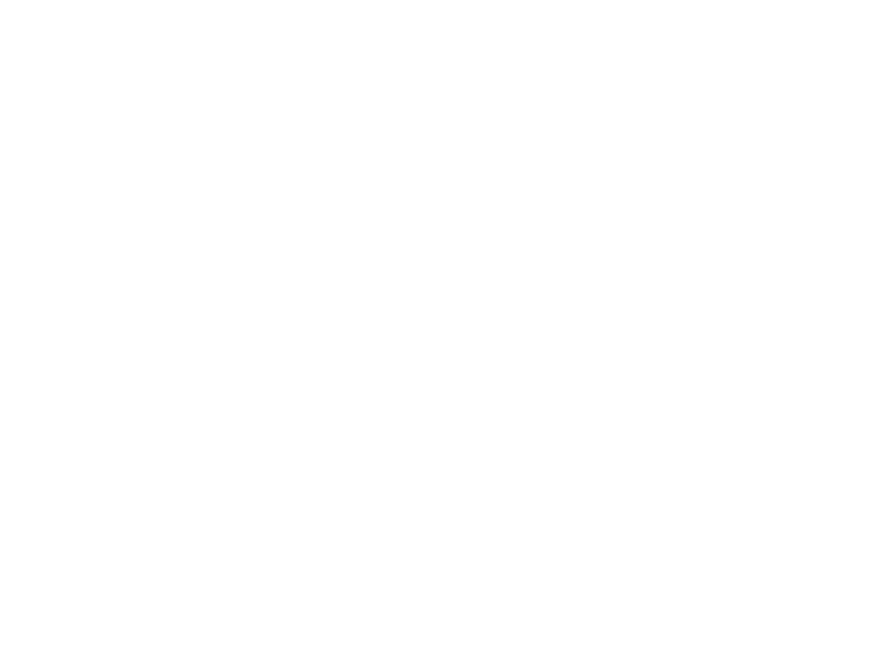 REO italia